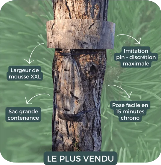 Piège à chenilles processionnaires du pin sur-mesure — Imitation pin