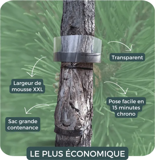 Piège à chenilles processionnaires du pin sur-mesure — Version transparente